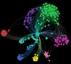 Picture of a Mathematical Graph