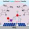 New Paper published: Water Confinement on Polymer Coatings Dictates Proton−ElectronTransfer on Metal-Catalyzed Hydrogenation of Nitrite
