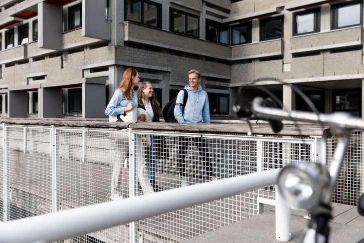 Drie studenten wandelen over de campus.