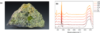 a)_Typical aggregate of an olivine grain. b)_Evolution of the Raman spectrum of an olivine pebble dissolved in H2SO4 at pH 2. Strong peaks emerge after 21 days