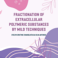 PhD Defence Evelyn Evangelista Da Silva Antunes | Fractionation of extracellular polymer substances by mild techniques