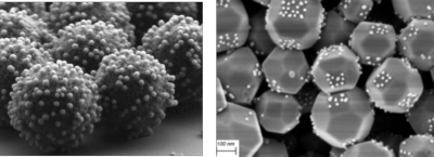 Left: all-silica raspberry colloids. Right: SrTiO3 particles with a facet-selective coating of Au nanoparticles.